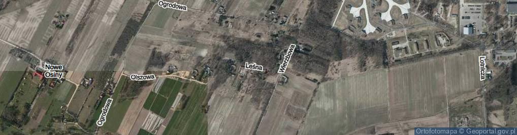 Zdjęcie satelitarne Leśna ul.